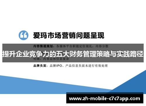 提升企业竞争力的五大财务管理策略与实践路径