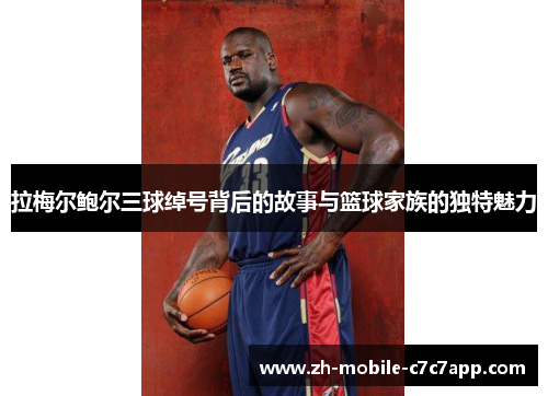 拉梅尔鲍尔三球绰号背后的故事与篮球家族的独特魅力 拉梅尔鲍尔三球绰号背后的故事与篮球家族的独特魅力