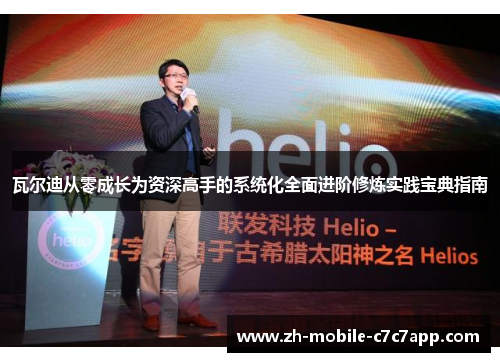 瓦尔迪从零成长为资深高手的系统化全面进阶修炼实践宝典指南