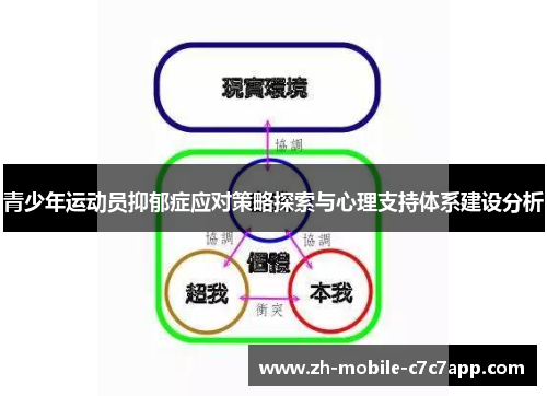 /uploads/images/20260610/qing-shao-nian-yun-dong-yuan-yi-yu-zheng-ying-dui-ce-lyue-tan-suo-yu-xin-li-zhi-chi-ti-xi-jian-she-fen-xi.webp