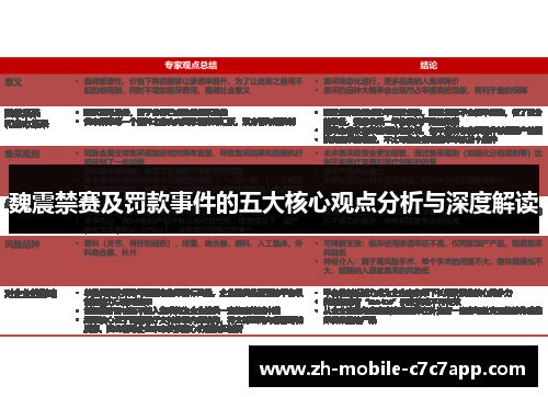 魏震禁赛及罚款事件的五大核心观点分析与深度解读 魏震禁赛及罚款事件的五大核心观点分析与深度解读